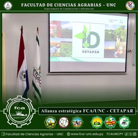 Cetapar3