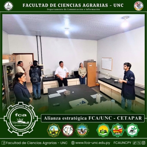 Cetapar6