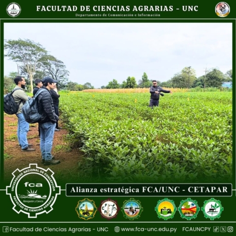 Cetapar7